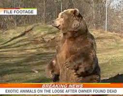 We lov pets is a pet store near me that gives back to the community! Exotic Animals On The Loose In Ohio