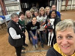 dawg celebrates 40th anniversary with akc holiday hop event