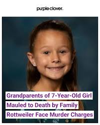 Olivia was a "spunky, sweet, and caring little girl who got along with  everyone and loved life.” #storyoftheday