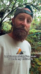 Ryan Robinson Bodybuilder