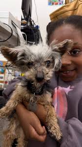 JC FRIDAYS! Come visit The Art Project at Dvora (175 2nd St, Jersey City,  NJ 07302)