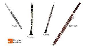 He used instruments from four instrument families ( strings, woodwinds, brass and percussion) to tell the story. Music Appreciation Woodwinds Peter And The Wolf Youtube