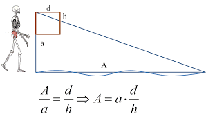 El teorema de Tales.