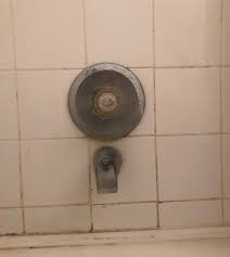 That usually isn't an overwhelming task, but if the faucet is old or situated in a high humidity. How To Replace A Single Handle Shower Valve Dengarden Home And Garden