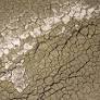 France Faces Intense Heatwave with 80 Departments on Orange Alert, Economic Impact Up to €15 Billion