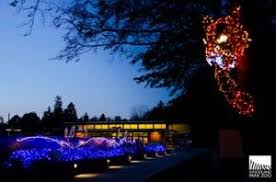 Woodland Park Zoo New Wildlights Presented By Keybank Best Christmas Lights Woodland Park Zoo Holiday Lights Display