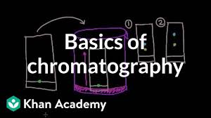 Basics Of Chromatography Video Khan Academy