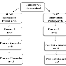 Flow Chart From Baseline To 12 Months Postintervention