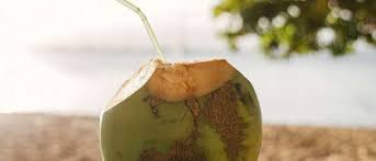 Air kelapa adalah minuman bebas kolesterol dan dapat dinikmati kapan saja. Aturan Aman Minum Air Kelapa Untuk Ibu Hamil Guesehat