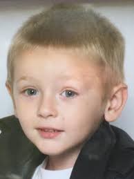 No charges in pit bull attack that killed boy