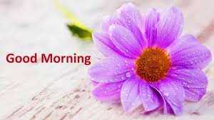 We did not find results for: Latest Good Morning 4k Hd Images Free Download Good Morning