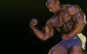 Ronnie coleman, men, police, portrait, one person, adult, males. Top 13 Best Hd Photos Of Ronnie Coleman Page 13 Top13best Desktop Background