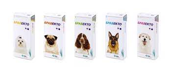 produkciya products bravekto osobennosti preparata tabletki blohi sobaki