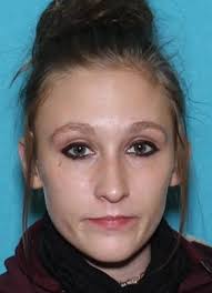 Pennsylvania State Police searching for missing Elk Creek Twp. woman