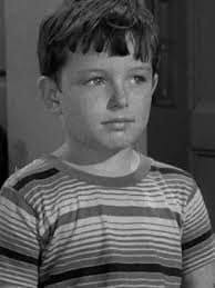 Favorite Leave It To Beaver Episodes Featuring Beaver's Haircuts