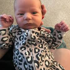 Making a Silkie Chicken with Dollar Tree Materials