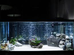 Diy Aquarium Furniture Stands Are An Integral Part Of Every Aquatic System The Aquarium Stand Should Cichlid Aquarium Aquarium Fish Tank Fresh Water Fish Tank