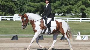 During this trial, the horse and rider ride a pattern of movements prescribed by the official test for their level. Training Level Dressage Horse Illustrated
