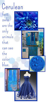 Cobalt blue is reserved for skies. Cerulean My Favorite Color Cerulean Blue Color Colors Name In English