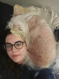 Does your hound have magic powers?