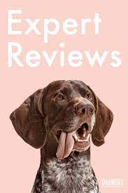Veterinarian Reviews Natural Pet Veterinarian Darwin