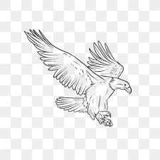 Black And White Eagle Clipart Pin On Eagle Sports Logo