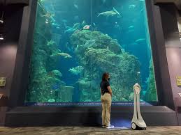 Riverboat cruises, trolley tours book your tickets now! Drunk Tourist Texts South Carolina Aquarium Education Hotline