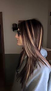 Image Result For Medium Length Layered Haircut With Chunky Highlights Brown Blonde Hair Hair Styles Hair Highlights