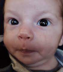 Atticus Robert Andersen