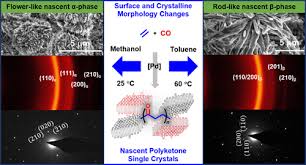 Controlling Surface and Crystalline Lamellar Morphologies of Nascent  Poly(ethylene-alt-CO) Under Different Polymerization and Thermal Conditions 