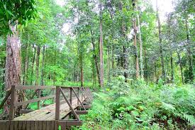 Tempat menarik di johor yang percuma ini, iaitu desaru fruit farm terletak di kota tinggi, johor. 12 Tempat Menarik Di Kota Tinggi Yang Pasti Membuatkan Anda Tertarik Nak Ke Sana Bidadari My