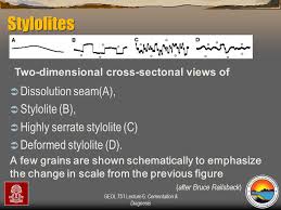 Find more ways to say diagnosis, along with related words, antonyms and example phrases at thesaurus.com, the world's most trusted free thesaurus. Professor Chris Kendall Ppt Download