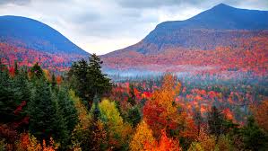 Free for commercial use no attribution required high quality images. Autumn Watch New England Wkar