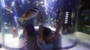 F = ab + a'b + ab' penyelesaian: Sensasi Menikmati Liburan Yang Seru Di Jakarta Aquarium Warta Kota