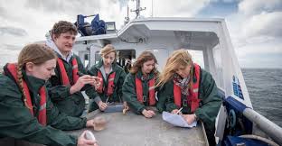 Check spelling or type a new query. How To Become An Oceanographer Bestcolleges