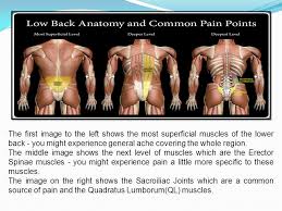 Can chiropractic treat lower back pain? Lower Back Pain Chronic And Acute Ppt Video Online Download