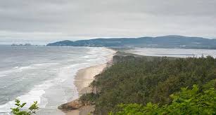 Whether you're wanting to find just one nice campground for the weekend or you're wanting to plan a week or two of. Cape Lookout State Park Oregon State Parks