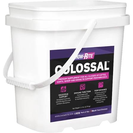 Colossal