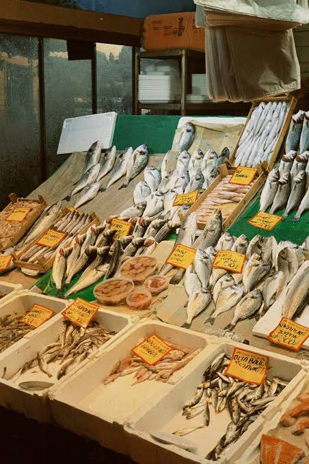 Fish and Seafood Shops