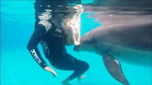 Maybe you would like to learn more about one of these? Dolphin Therapy Land Delfinterapi Kommentarer