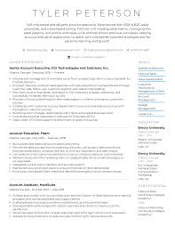 Those seeking to fill this position need to emphasize previous experience in the field throughout their resumes. Account Executive Resume Example Writing Tips For 2021