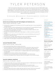 account executive resume example