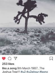 The joshua tree visitor center is the most popular visitor center for guests looking to explore joshua tree national park. Jeremygwa Shop Redbubble Joshua Tree Joshua Tree National Park Tree