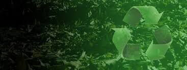 Check spelling or type a new query. Pioneer Landscapes