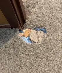 Maybe you would like to learn more about one of these? Smith Brothers Carpet Repair And Stretching