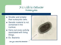 Discovered animal tissues are made up of cells. Chapter 7 Cells Power Point Student Version