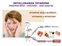 Dopo questo video, li guarderai nello stesso modo? Istamina Ritenzione Idrica Peso Corporeo Arezzo News L Ortica Notizie Pungenti
