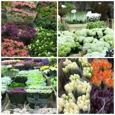 Same day delivery to paris if order placed by 7pm.we deliver flowers and gifts to all hotels in paris,all residences,offices,airport. My February Video Flowers In Paris My French Country Home