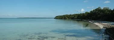 Maybe you would like to learn more about one of these? Hiking Elliott Key Camping Paddling Florida Hikes