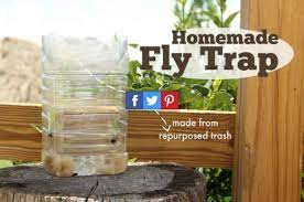How To Homemade Fly Trap Homemade Fly Traps Fly Traps Diy Fly Trap